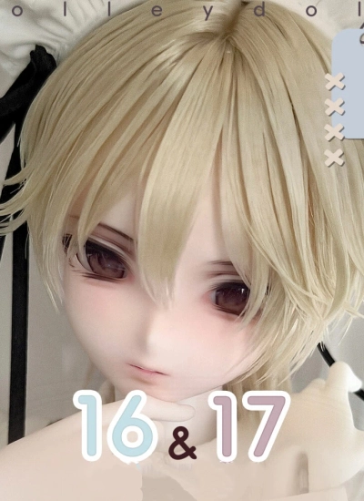 DOLLEYDOLL BJD Head 16 17 Head for 1/4  Ball-jointed doll