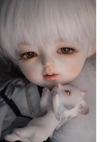 【618販売終了割引】ドール本体 幼尾火虎(Wei huo hu) 男の子用 26cm 球体関節人形 BJD
