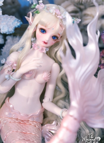 Limited Doll BJD Cordelia 32cm Mermaid Girl Ball-jointed Doll