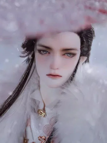 BJD Dan Ge 75cm Boy Ball Jointed Doll